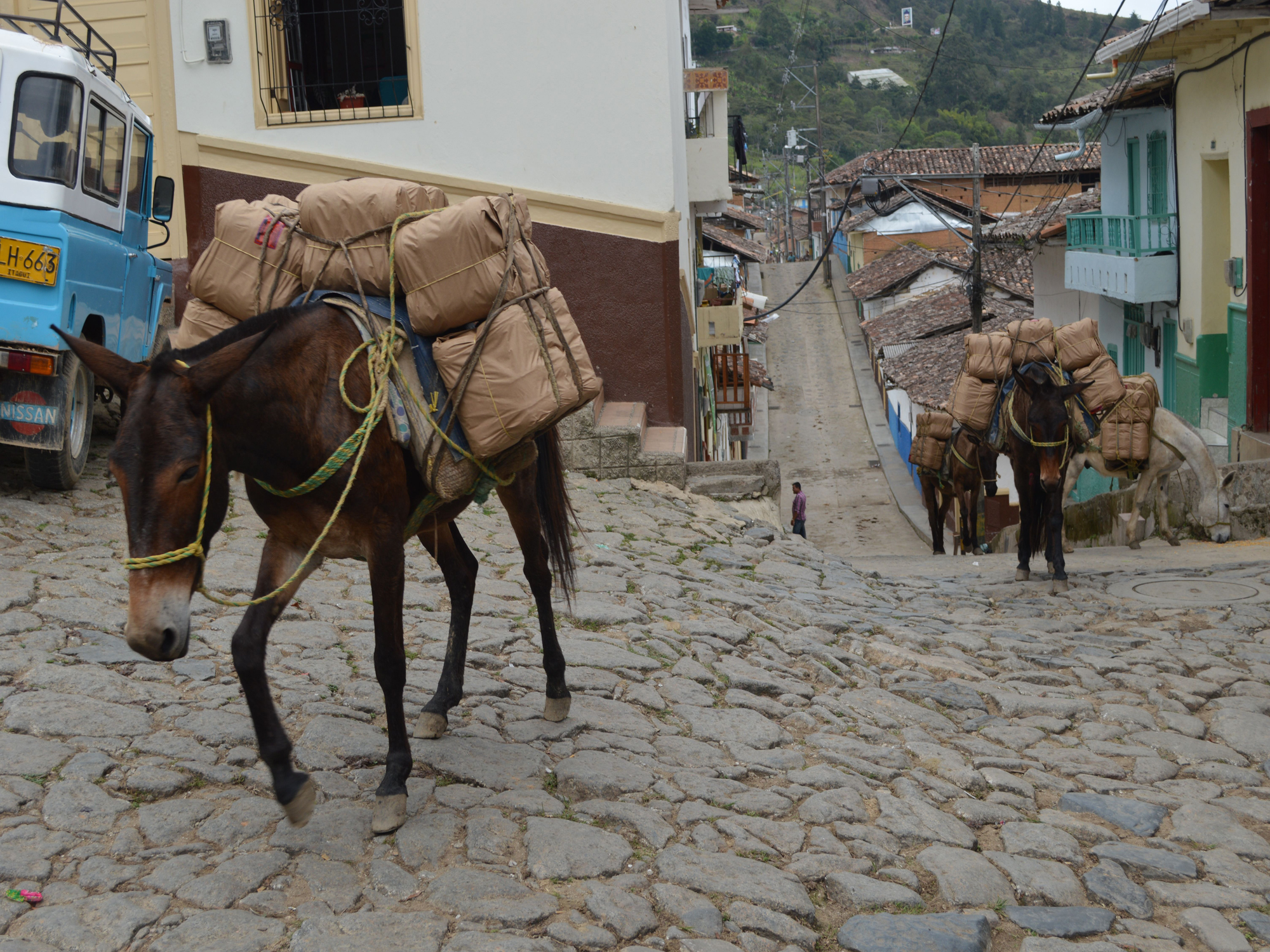 Imagen del municipio